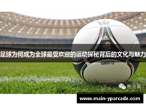 足球为何成为全球最受欢迎的运动探秘背后的文化与魅力