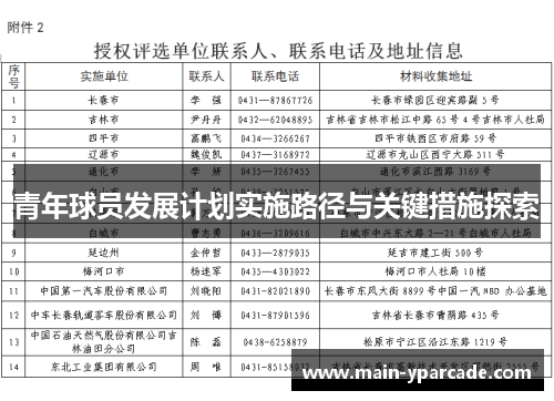 青年球员发展计划实施路径与关键措施探索